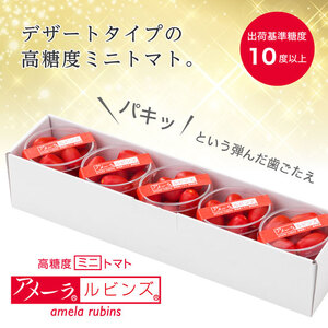 アメーラトマト アメーラルビンズ 5パックセット トマト
