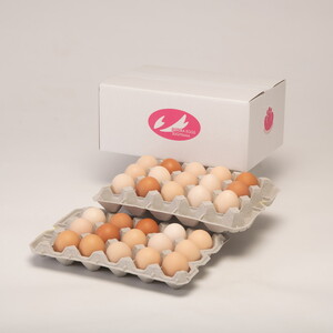 【定期便4ヵ月】純国産鶏さくらちゃんが産んだ桜色のさくら玉子 五分咲き（Mサイズ）30個 ｜ 卵 鶏卵 たまご タマゴ 生卵 たまごかけご飯 濃厚 甘み 国産