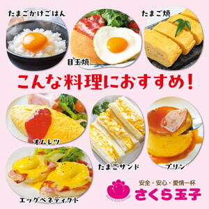 【定期便7ヵ月】純国産鶏さくらちゃんが産んだ桜色のさくら玉子 五分咲き（Mサイズ）30個 ｜ 卵 鶏卵 たまご タマゴ 生卵 たまごかけご飯 濃厚 甘み 国産