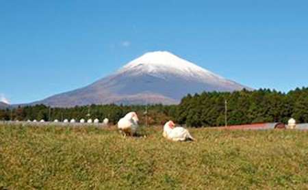 【太陽チキンスモーク】富士山セット【肉　とり肉】◆