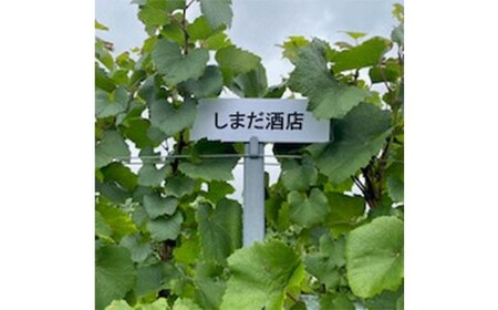 978.御殿場山麓36ワイン シャルドネ2024