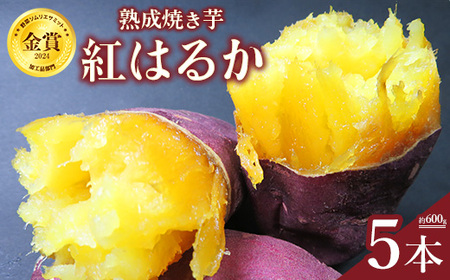 熟成焼き芋5本セット（紅はるか） ※北海道、沖縄、離島への配送不可 ※2026年6月中旬頃までに順次発送予定