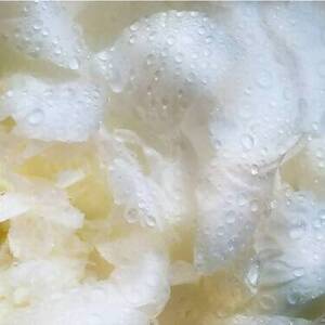 ヘレナ ルビンスタイン プロディジー CELグロウ デューイ エッセンス ローション 200ml | ロレアル スキンケア 化粧品