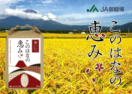 ごてんばこしひかり「このはなの恵み」5kg【お米 コシヒカリ】