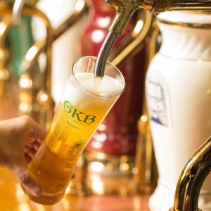 KT-1 御殿場高原ビールお試しセット ◇ | 酒 おつまみ 飲み比べ 10000円 1万円以内