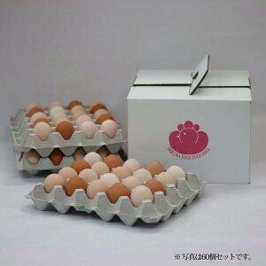 純国産鶏さくらちゃんが産んだ桜色のさくら玉子の五分咲き30個◇