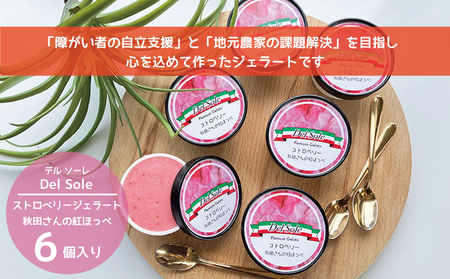 デルソーレ　ジェラート★ストロベリー★6個　農福 お菓子 スイーツ ひんやりスイーツ デザート 食後 おやつ アイス 地元食材使用 フルーツジェラート 苺ジェラート