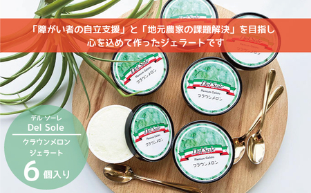 デルソーレ　ジェラート★クラウンメロン★6個　農福 お菓子 スイーツ ひんやりスイーツ デザート 食後 おやつ アイス 地元食材使用 フルーツジェラート メロンジェラート