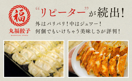 丸福餃子　茶餃子4パックセット 夕飯 晩御飯 惣菜 つまみ おかず お酒のお供 冷凍餃子 冷凍 冷凍惣菜 