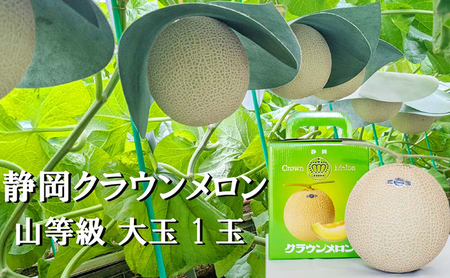 クラウンメロン山等級1.4kg前後　1玉入り 果物 メロン青肉 フルーツ デザート 高級メロンブランド 高級メロン ブランドメロン