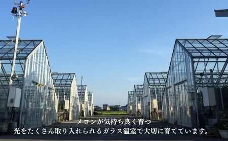 【お食事券】2名様分 農家カフェで味わうメロンパフェとメロン紅茶セット チケット