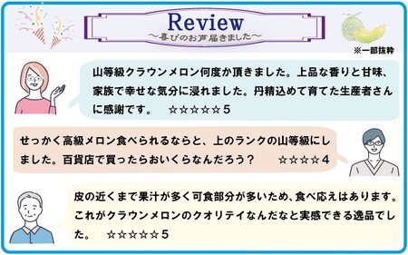 クラウンメロン（山等級）６玉入 果物類 メロン青肉 ギフト箱 