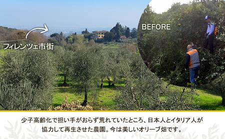 【五つ星ホテル指名買い】 トスカーナ産 エキストラ バージン オリーブオイル (183.2g×4本)【2026年11月発送】 調味料 油 オリーブ油 食用油 静岡県 袋井市