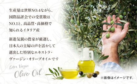 テレビで紹介されました!【受賞農家が選出】 高級イタリア産 エキストラ・ヴァージン・オリーブオイル 450g×6個【隔月定期便2回(4ヶ月に1度)お届け】 調味料 油 オリーブ油 食用油 静岡県 袋井市
