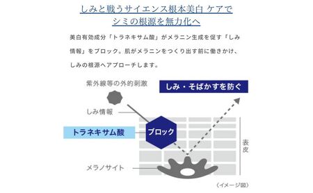 トランシーノ薬用メラノシグナルエッセンス30g ケア スキンケア 美白 美容液 保湿 エイジングケア うるおい しみケア そばかすを防ぐ トランシーノ 第一三共