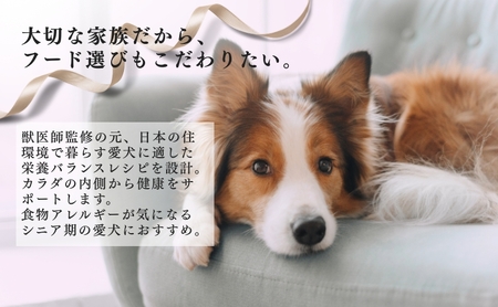 ビューティープロ ドッグ 食物アレルゲンに配慮 10歳以上 2.3kg ｘ4(ケース単位) ドッグフード