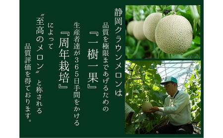 【8ヶ月定期便】クラウンメロン（白上級）1玉入 メロン デザート グルメ 果物 フルーツ 季節の果物 スイーツ 袋井市 静岡県