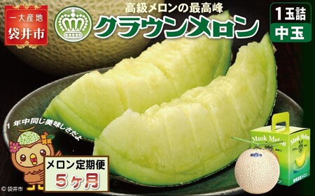 【5ヶ月定期便】クラウンメロン（白等級）中玉　1玉入 　果物 フルーツ デザート メロン マスクメロン 青肉 高級 ギフト 贈り物 静岡県産 袋井市