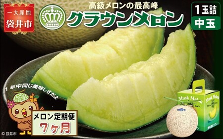 【7ヶ月定期便】クラウンメロン（白等級）中玉　1玉入 　果物 フルーツ デザート メロン マスクメロン 青肉 高級 ギフト 贈り物 静岡県産 袋井市