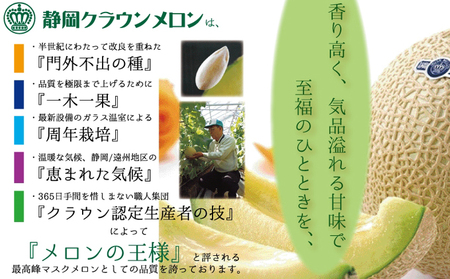【10ヶ月定期便】『クラウンメロン ”極メロン” 1玉 』 　果物 フルーツ デザート メロン マスクメロン 青肉 高級 ギフト 贈り物 静岡県産 袋井市