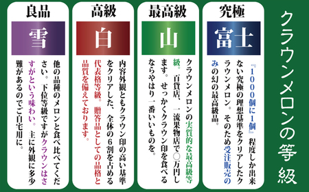 【10ヶ月定期便】『クラウンメロン ”極メロン” 1玉 』 　果物 フルーツ デザート メロン マスクメロン 青肉 高級 ギフト 贈り物 静岡県産 袋井市