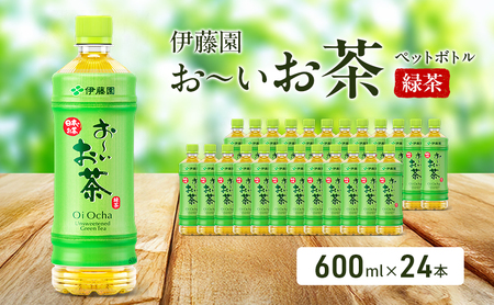 お~いお茶 緑茶 ペット 600ml×24本 お茶 ペットボトル 飲み物 飲料 国産茶葉 伊藤園 静岡県 袋井市
