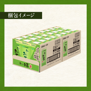 お～いお茶 緑茶 紙パック 250ml×24本 お茶 飲み物 飲料 国産茶葉 伊藤園 静岡県 袋井市