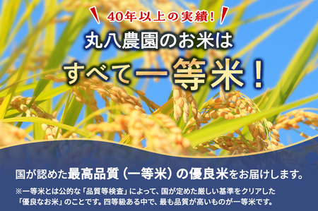 お米 （定期便3回）令和7年度産静岡県産にこまる精米5kg×3 計15kg 米 コメ にこまる 精米 白米 定期便 袋井市 静岡県