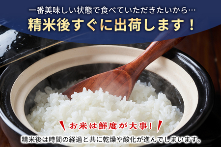 お米 （定期便3回）令和7年度産静岡県産にこまる精米5kg×3 計15kg 米 コメ にこまる 精米 白米 定期便 袋井市 静岡県
