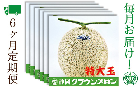 【6ヶ月定期便】クラウンメロン（白等級）特大玉　1玉入 果物類 メロン青肉