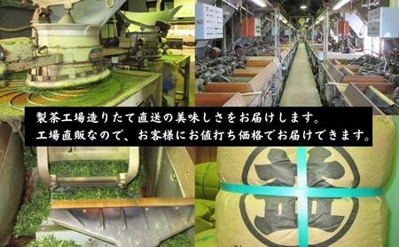 本格深蒸し新茶ティーバッグ大袋（5g×35個入）