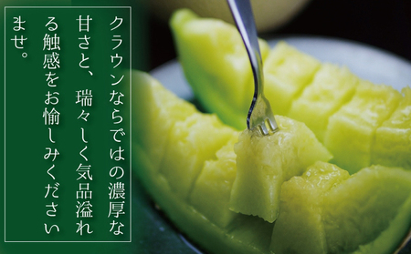 【12ヶ月定期便】クラウンメロン（白等級）小玉　１玉入 果物類 メロン青肉 