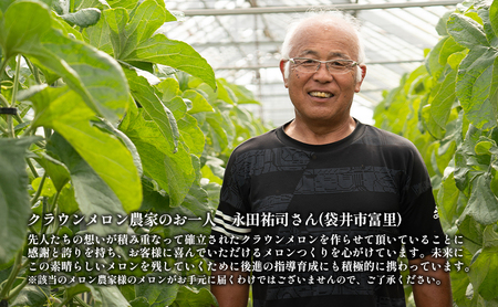 クラウンメロン【上(山等級)】中玉(1.3kg前後)1玉入り 人気 厳選 ギフト 贈り物 デザート グルメ 果物 袋井市 果物類 メロン青肉 フルーツ