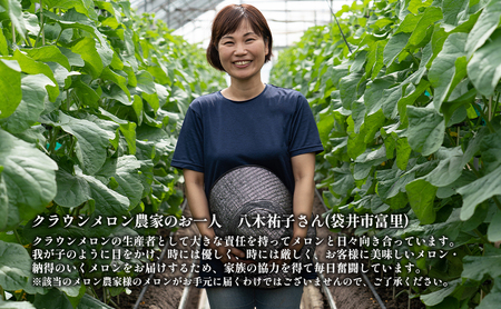 クラウンメロン【上（山等級）】中玉（1.3kg前後）2玉入り人気 厳選 ギフト 贈り物 デザート グルメ 果物 袋井市 果物類 メロン青肉 フルーツ