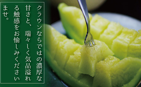 数量限定！『クラウンメロン ”富士等級” 2玉』 ギフト箱入 人気 厳選 ギフト 贈り物 デザート グルメ 果物 袋井市 果物類 メロン青肉 フルーツ 