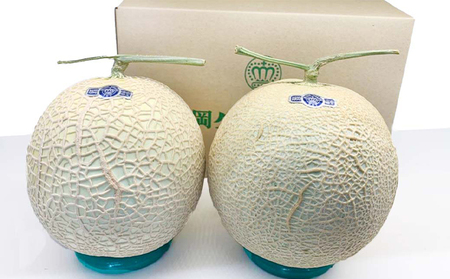 訳あり メロン 静岡 クラウンメロン 2玉 傷 不揃い 規格外 マスクメロン 人気 フルーツ 果物 おやつ デザート 高級 スイーツ 訳アリ 静岡産 静岡県 袋井市