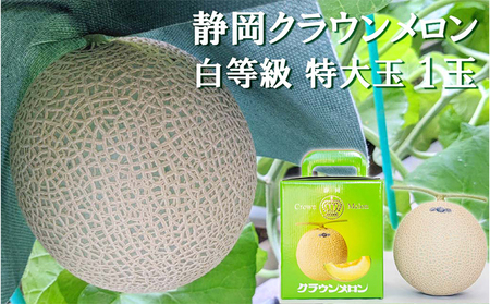 クラウンメロン【並（白等級）】特大玉（1.5kg前後）1玉入り 人気 厳選 ギフト 贈り物 デザート グルメ 果物 袋井市 果物類 メロン青肉 フルーツ 7,110円