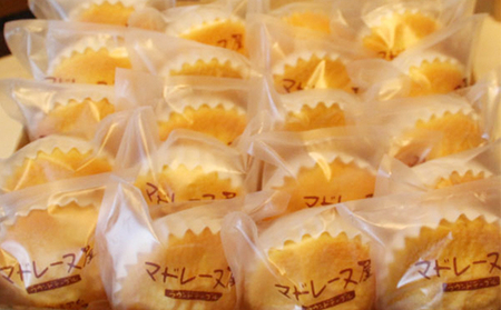 マドレーヌ専門店のマドレーヌ(20個)洋菓子 おやつ 焼き菓子 ギフト 贈り物 人気 厳選 おすすめ 袋井市 お菓子 ケーキ
