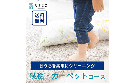 クリーニング 絨毯 クリーニングクーポン リナビス ラグ カーペット 玄関マット 電気カーペット 洗濯 防ダニ 高品質 せんたく便 宅配クリーニング チケット 券 サービス 静岡 静岡県 袋井市