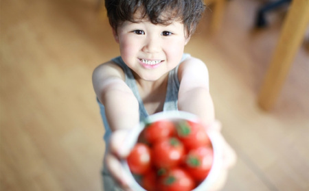 【12ヶ月定期便】機能性表示食品 Hapitoma ハピトマ 訳あり（1.8kg）【配送不可：北海道・沖縄・離島】健康 ヘルシー 人気 厳選  野菜 緑黄色野菜 産地直送 ダブル成分 GABA リコピン トマト 国産 静岡県産 袋井市産 食材 