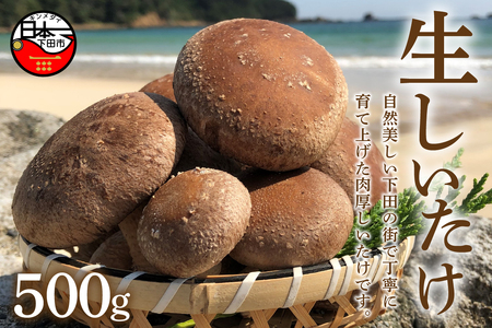 【12月9日受付終了】＜サントピア下田＞生しいたけ（菌床） 500g