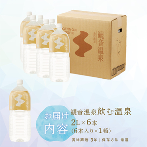 飲む温泉　観音温泉水　2リットル(6本入)　1ケース