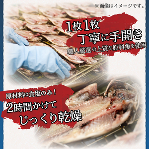 ＜下田湊マリンプロダクツ＞＜規格品　下田加工＞【特上】真あじ干物 　12枚入