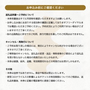 飲泉、自家源泉かけ流しの宿観音温泉「ピグマリオン・スタンダード和室」ペア宿泊招待券（1泊2食付）　[旅行 宿泊 ペア 宿泊券 温泉 食事付き 露天風呂 1泊2食 露天風呂付客室 懐石料理 観音温泉 静岡 伊豆 下田]