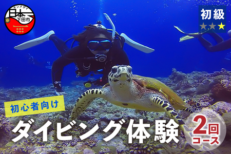 ＜ドラゴンレディ＞体験ダイビング　2回コース [ダイビング 体験 海 初心者 2回 コース アウトドア スポーツ アクティビティ マリンスポーツ レジャー 静岡 伊豆 下田 南伊豆 ドラゴンレディ]
