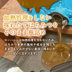 ＜下田みつばち＞下田産ローハニー(生はちみつ)600g　定期便　6ヶ月　3回　[下田みつばちのローハニー]