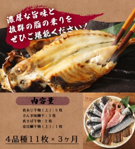 【小木曽商店】　干物詰合せ【Bセット】　定期便　３ヶ月　３回