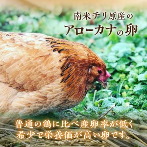 【farm1987】海と山からのおくりもの　下田ブルー(6個入り)4パック　[卵 アローカナ たまご 青い卵 自然養鶏 幸せの青い卵 静岡県 伊豆 下田 farm1987 卵 アローカナ たまご 青い卵 自然養鶏 幸せの青い卵 静岡県 伊豆 下田 farm1987 卵 アローカナ たまご 青い卵 自然養鶏 幸せの青い卵 静岡県 伊豆 下田 farm1987]