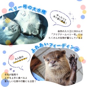 【下田海中水族館】ペア入場券