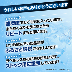 富士山の天然水 強炭酸水 500ml×24本入り炭酸水 ハイボール 割り材 炭酸 炭酸飲料 無糖 富士山 飲料水 送料無料 アイリスオーヤマ 飲料類 飲み物 ドリンク ソフトドリンク 割りもの